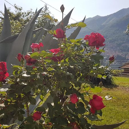 Flora Lägenhet Moltrasio Exteriör bild