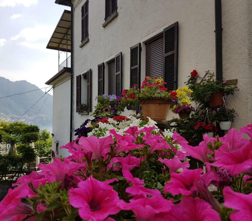 Flora Lägenhet Moltrasio Exteriör bild