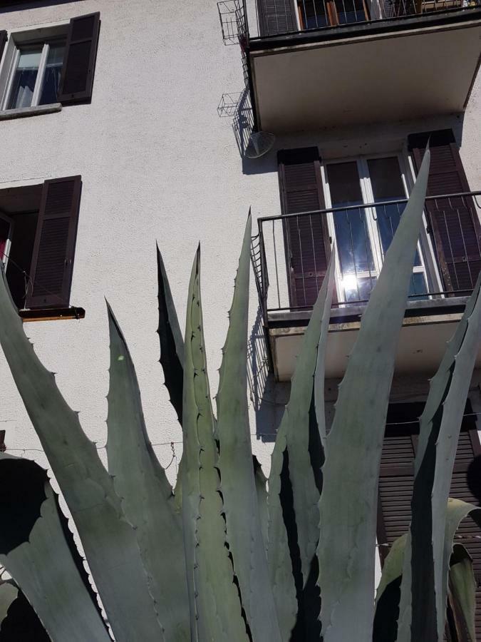 Flora Lägenhet Moltrasio Exteriör bild